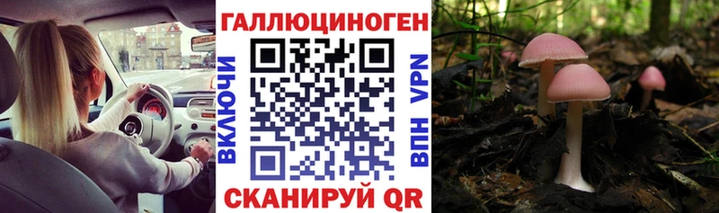 Псилоцибиновые грибы ЛСД  наркошоп  Дорогобуж 